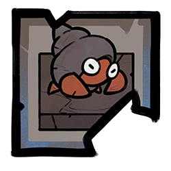 Timid Hermit Crab
